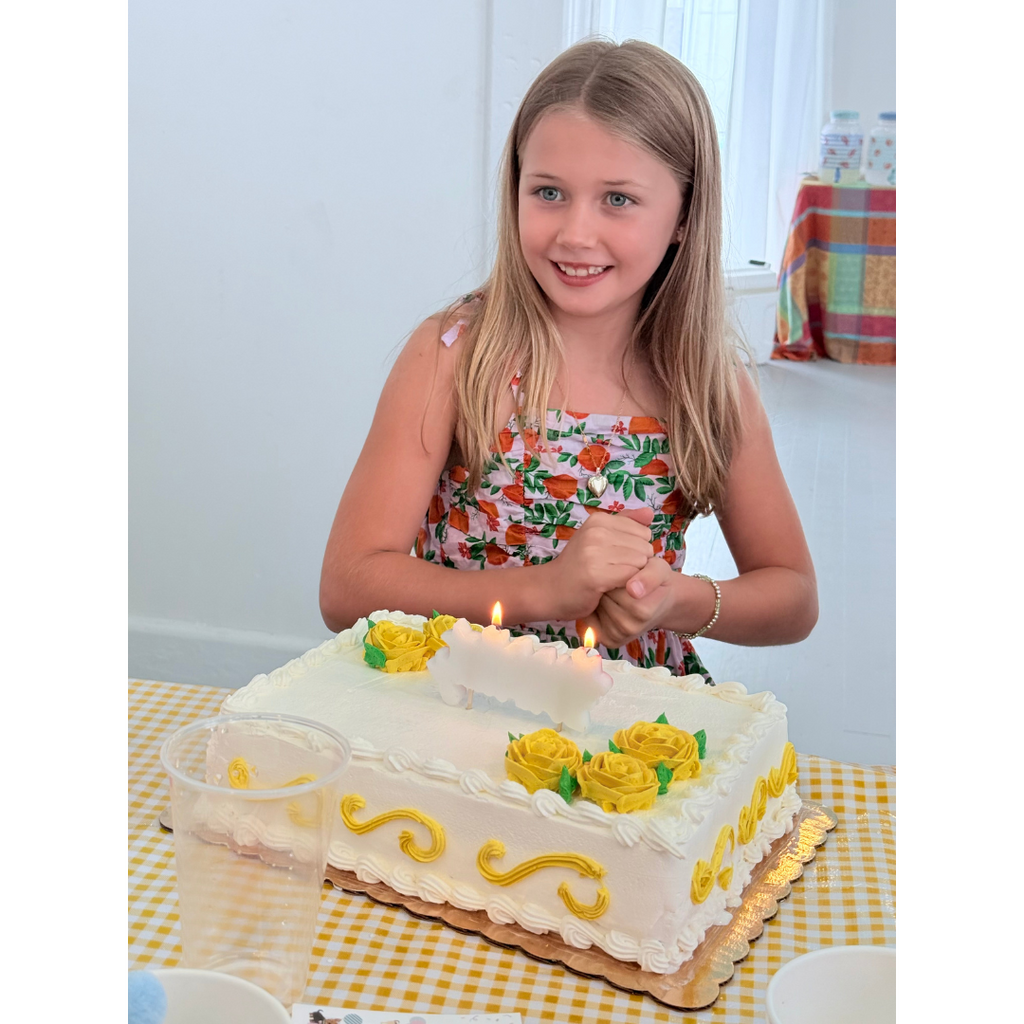 Host A Birthday Party at The Rainbow House with Art Activity + Instruction