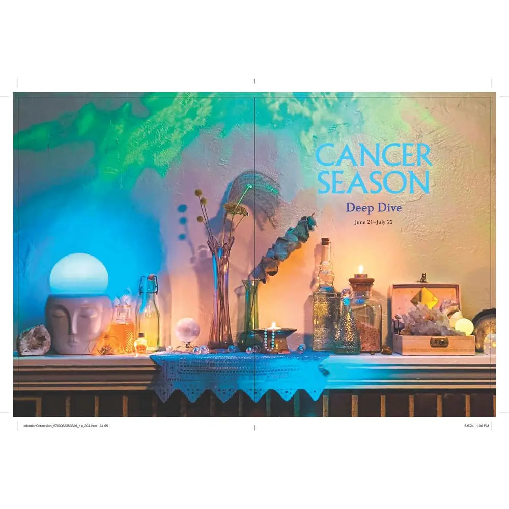 Intention Obsession: Erica Feldmann HC04