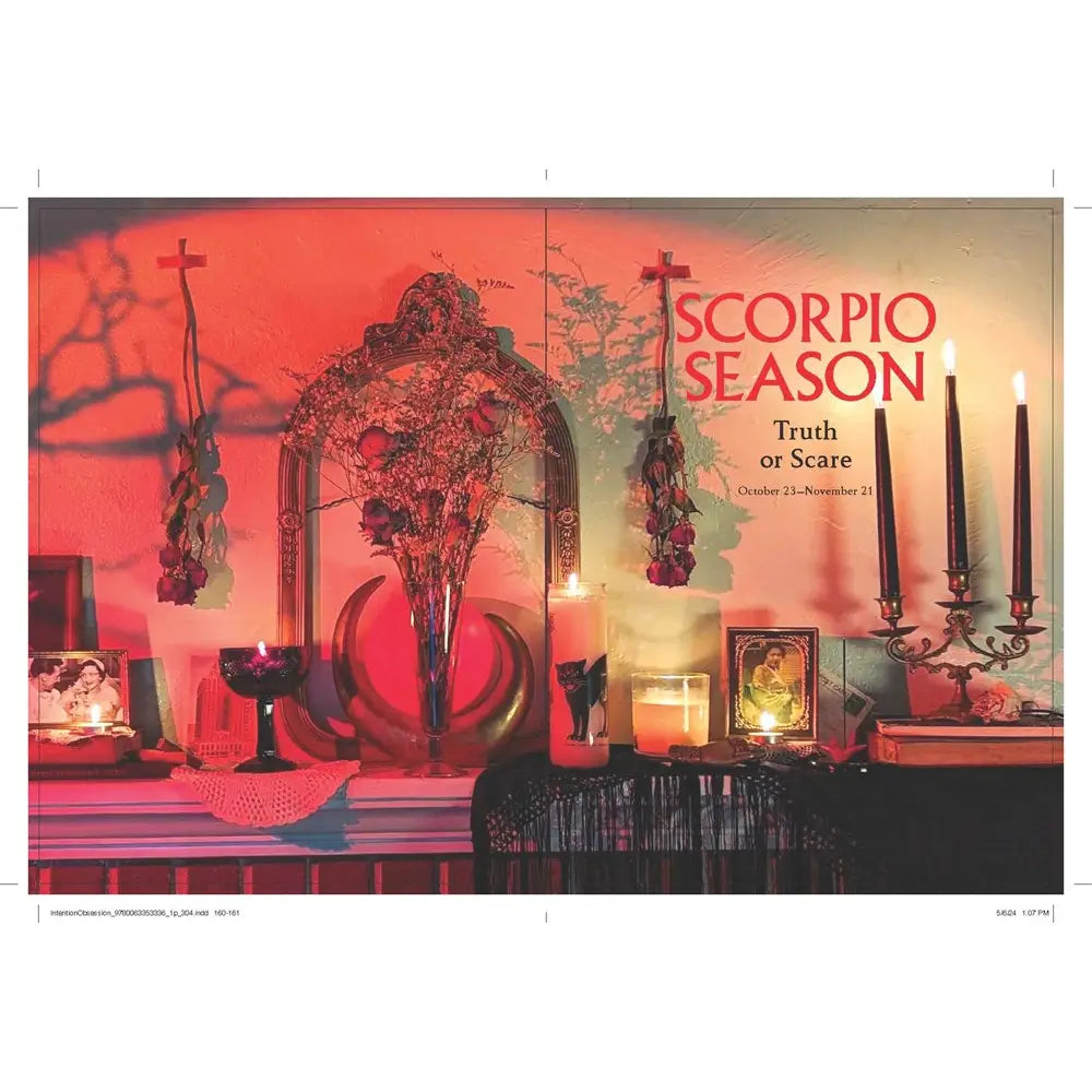 Intention Obsession: Erica Feldmann HC04