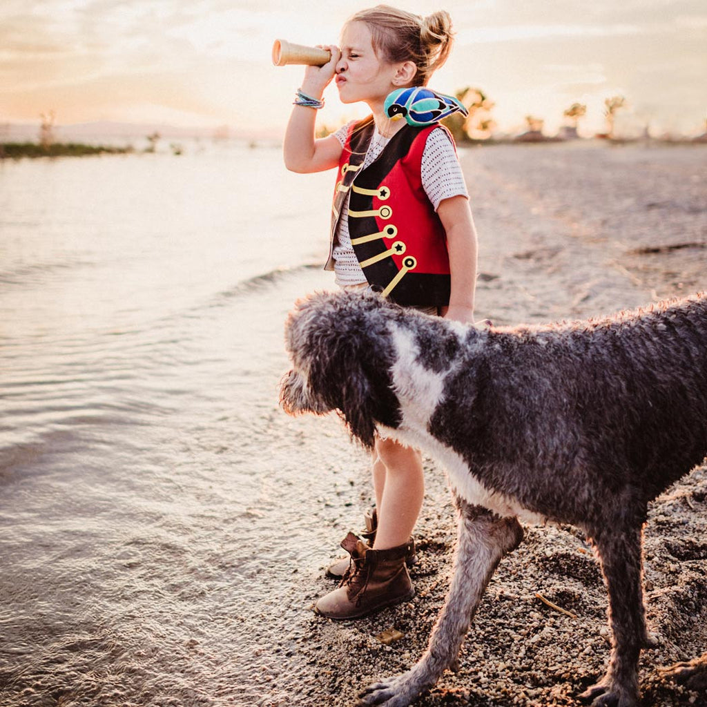 Pirate Vest with Removable Parrot